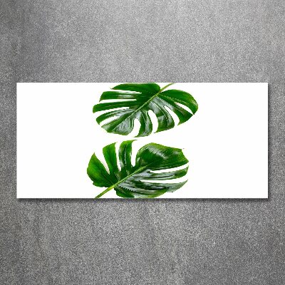 Foto obraz szkło akryl Tropikalne liście