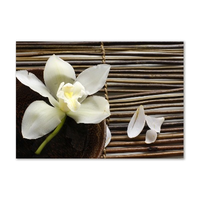 Obraz zdjęcie na ścianę akryl Orchidea