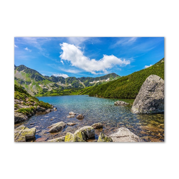 Foto obraz szkło akryl Dolina Tatry