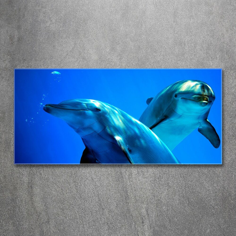 Foto obraz szkło akryl Dwa delfiny