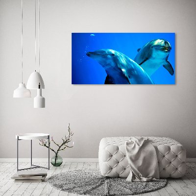 Foto obraz szkło akryl Dwa delfiny