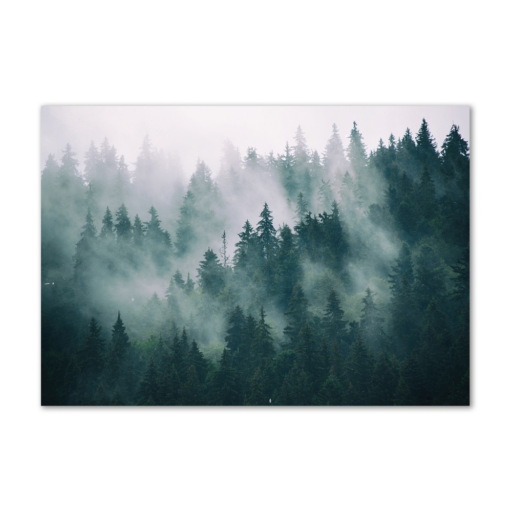 Foto obraz szkło akryl Mgła nad lasem