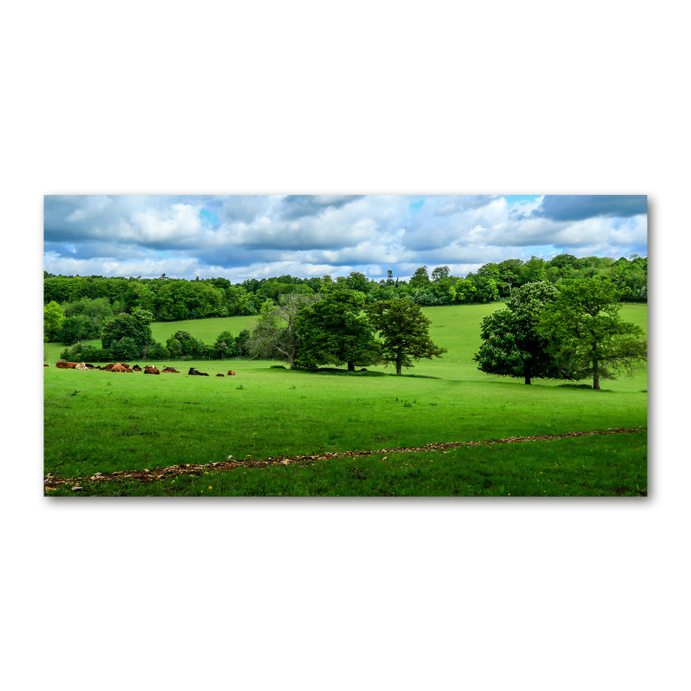 Foto obraz szkło akryl Zielone wzgórza