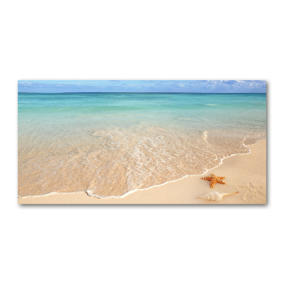 Foto obraz akryl Rozgwiazda na plaży