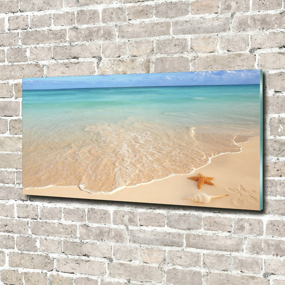 Foto obraz akryl Rozgwiazda na plaży