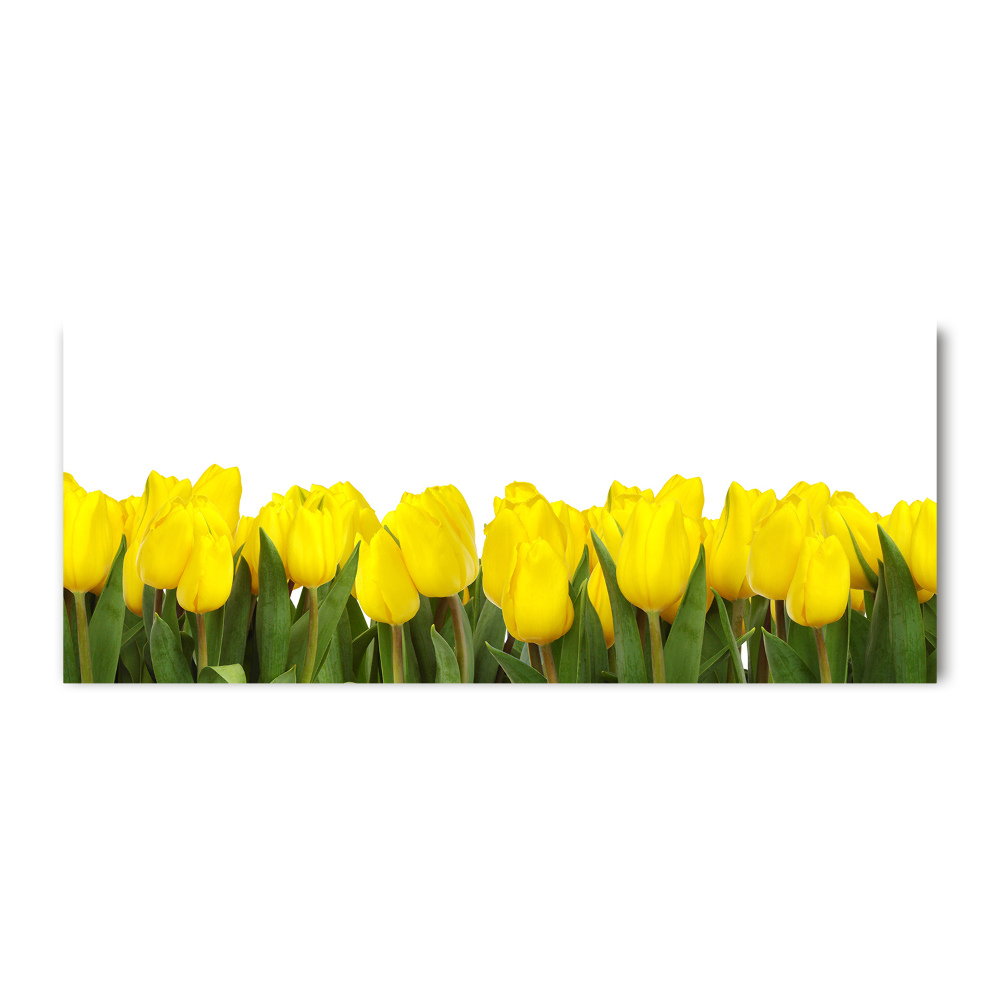 Obraz zdjęcie szkło akryl Żółte tulipany