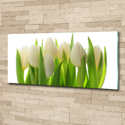 Obraz zdjęcie na ścianę akryl Tulipany