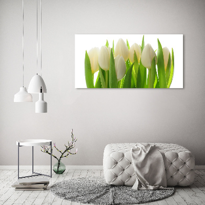 Obraz zdjęcie na ścianę akryl Tulipany