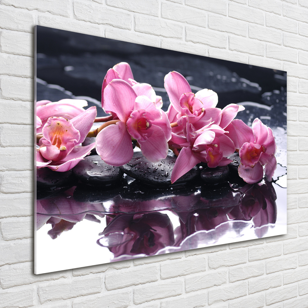 Obraz zdjęcie szkło akryl Różowa orchidea
