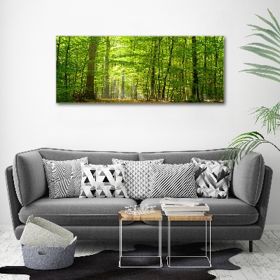 Foto obraz szkło akryl Liściasty las