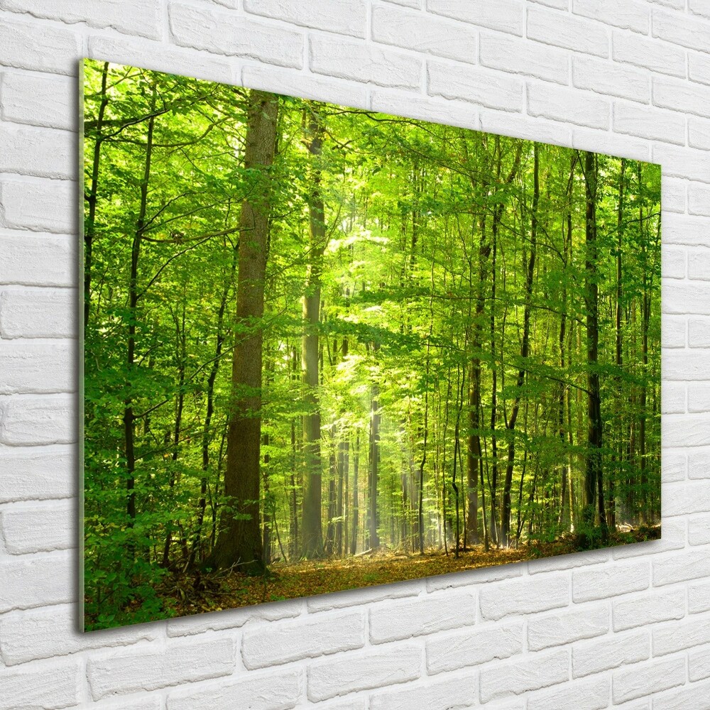 Foto obraz szkło akryl Liściasty las