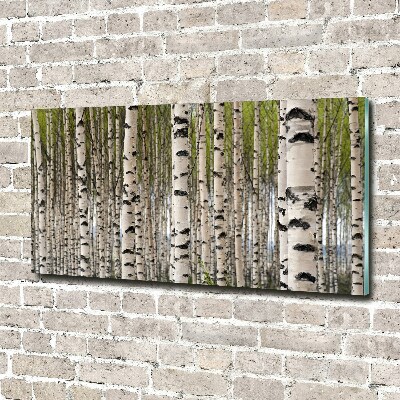 Obraz zdjęcie szkło akryl Brzozowy las