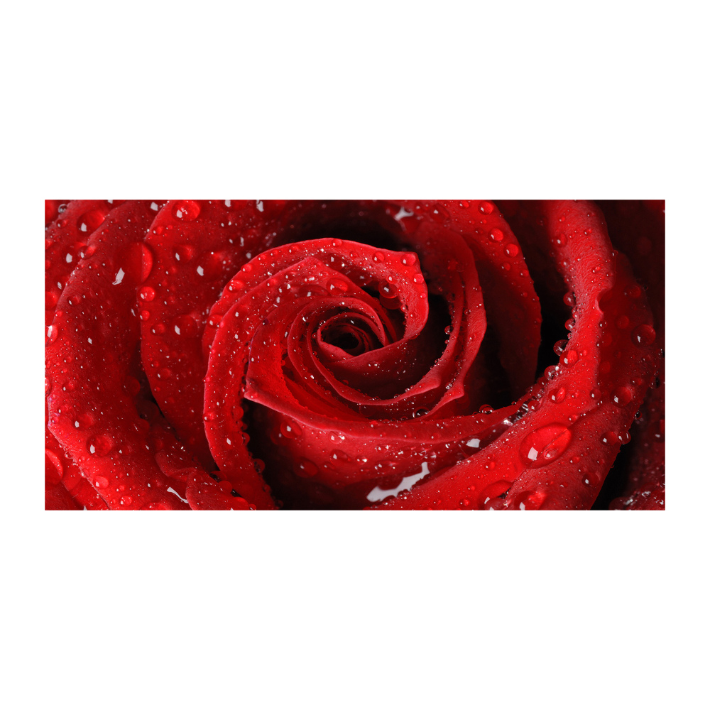 Obraz zdjęcie szkło akryl Krople na róży