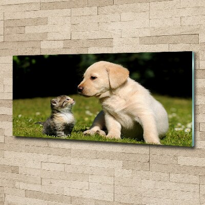 Foto obraz akryl Pies i kot na łące
