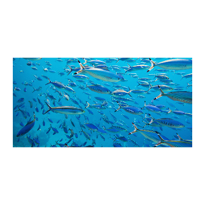 Foto obraz szkło akryl Koralowe ryby