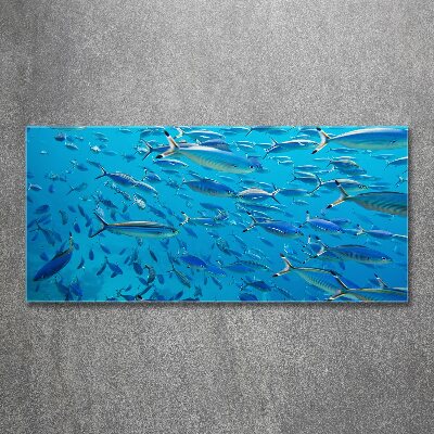 Foto obraz szkło akryl Koralowe ryby