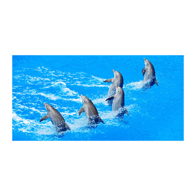 Foto obraz na scianę akrylowy Delfiny