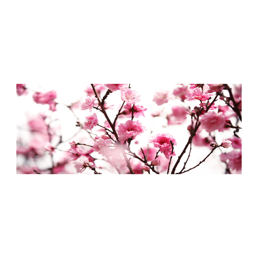 Obraz zdjęcie szkło akryl Kwiat śliwki