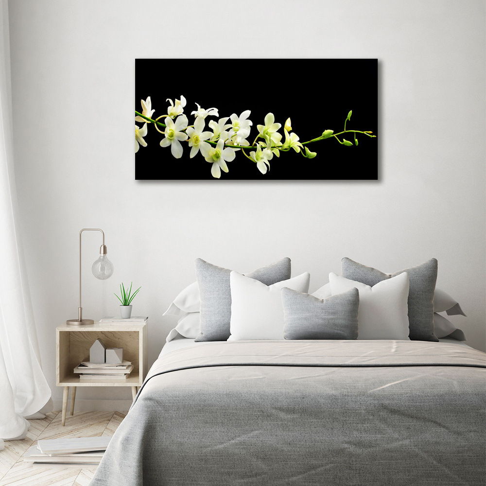 Obraz zdjęcie na ścianę akryl Orchidea