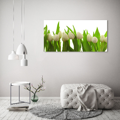 Obraz zdjęcie szkło akryl Białe tulipany