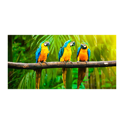 Foto obraz szkło akryl Papugi na gałęzi