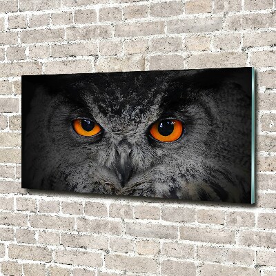 Foto obraz akryl Diabelskie oczy sowy