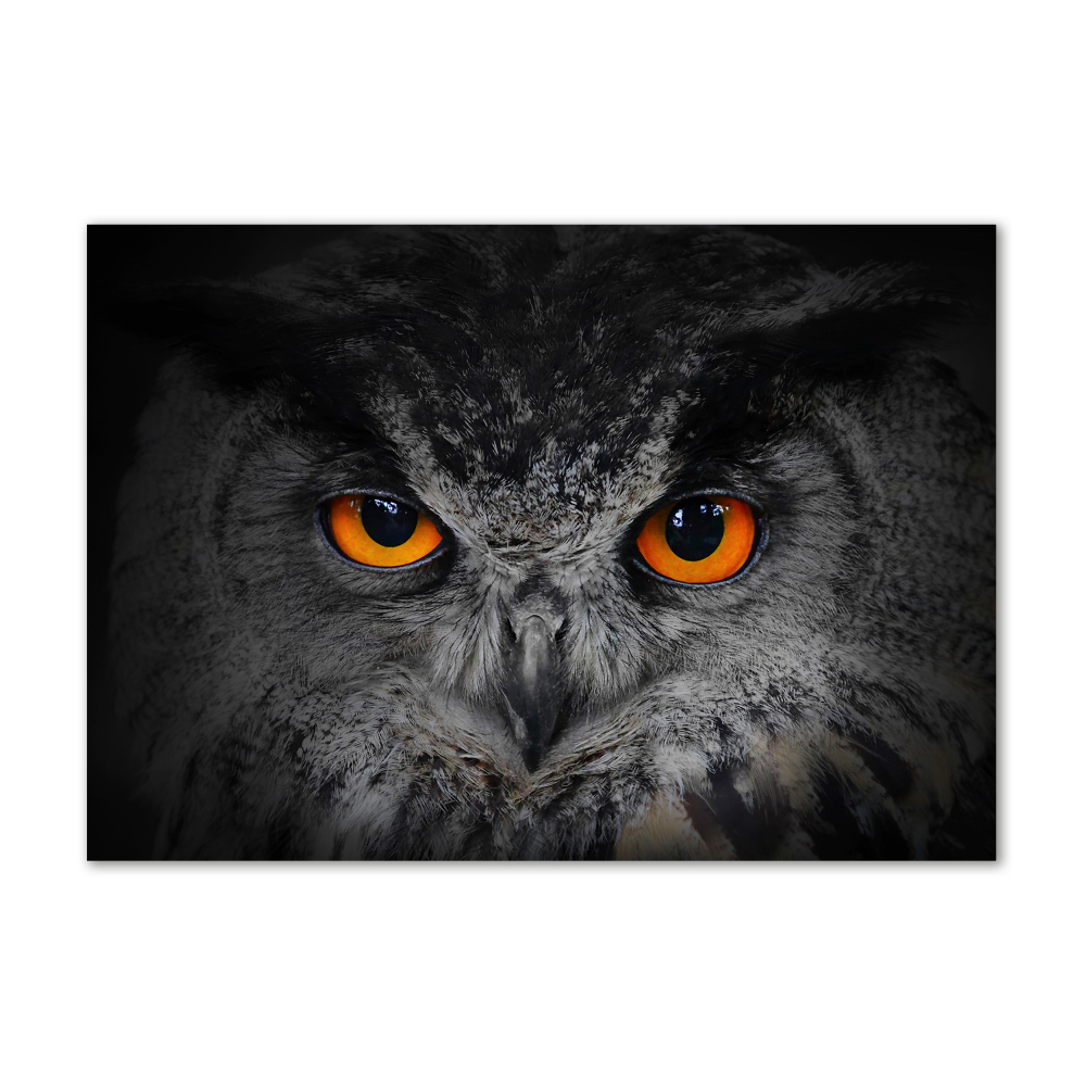Foto obraz akryl Diabelskie oczy sowy