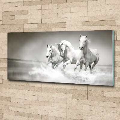 Foto obraz szkło akryl Białe konie