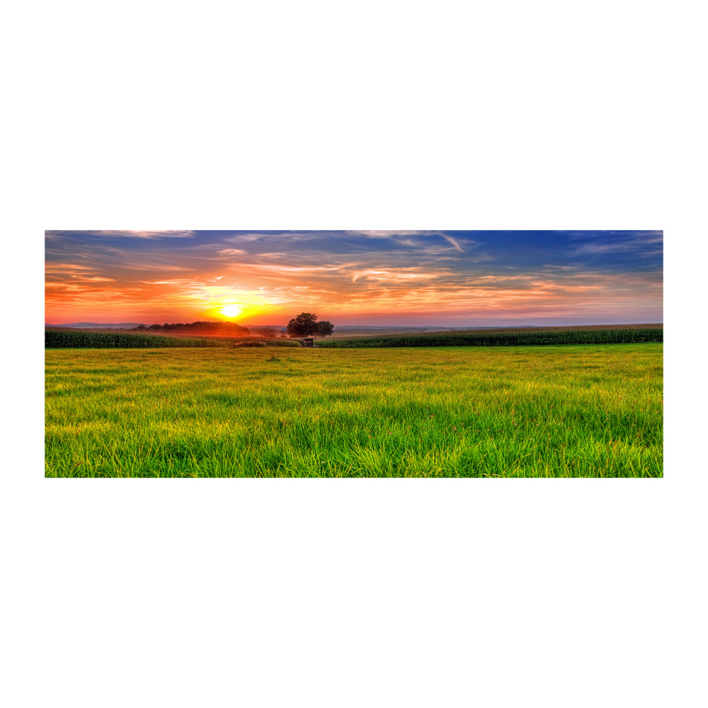 Foto obraz akryl Zachód słońca łąka