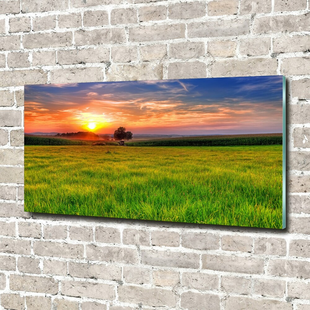 Foto obraz akryl Zachód słońca łąka