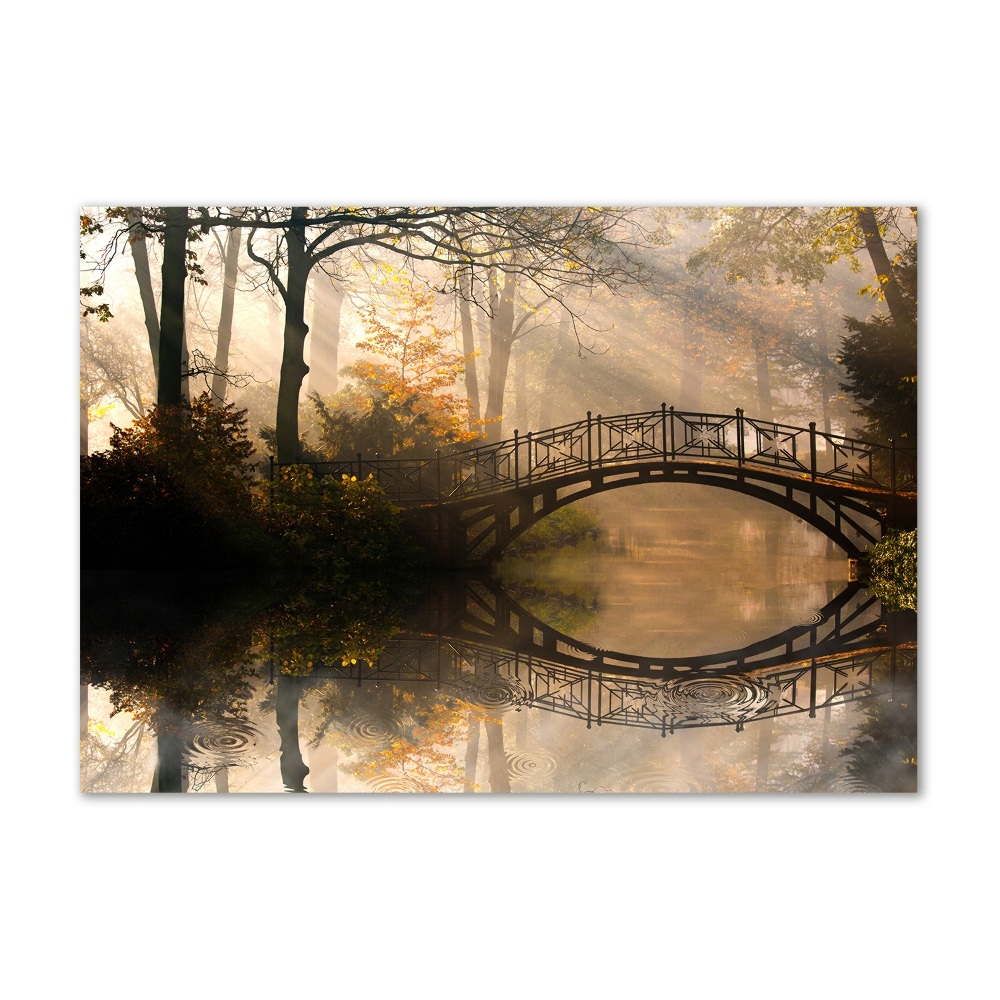 Foto obraz akryl Stary most jesienią