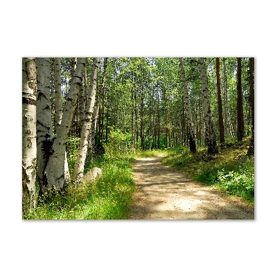 Foto obraz szkło akryl Ścieżka w lesie