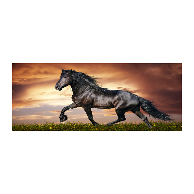 Foto obraz szkło akryl Kłusujący koń