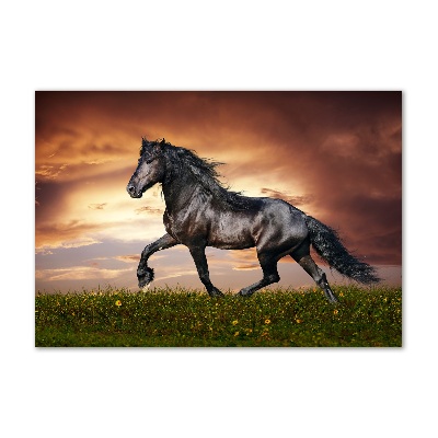 Foto obraz szkło akryl Kłusujący koń