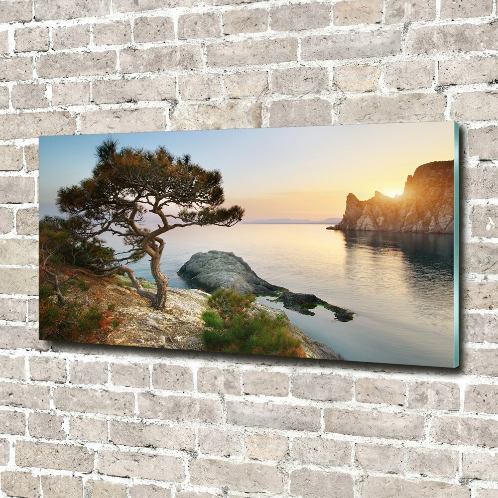 Foto obraz szkło akryl Drzewo nad morzem