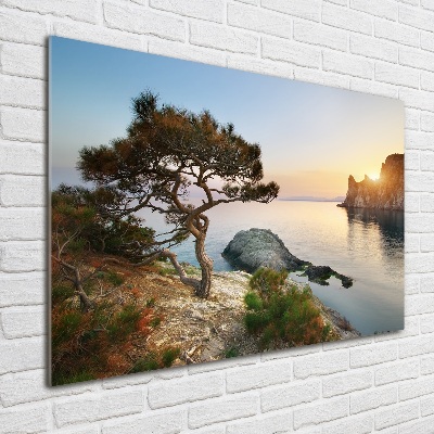 Foto obraz szkło akryl Drzewo nad morzem