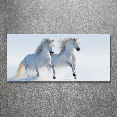 Foto obraz akryl Dwa konie w śniegu