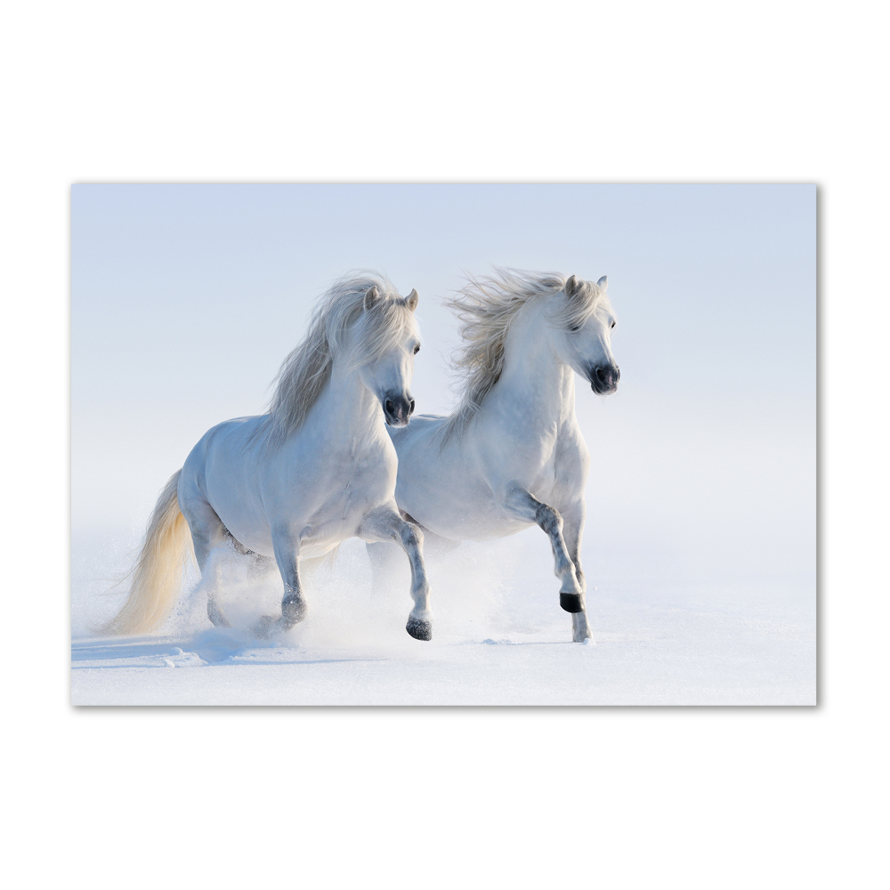 Foto obraz akryl Dwa konie w śniegu
