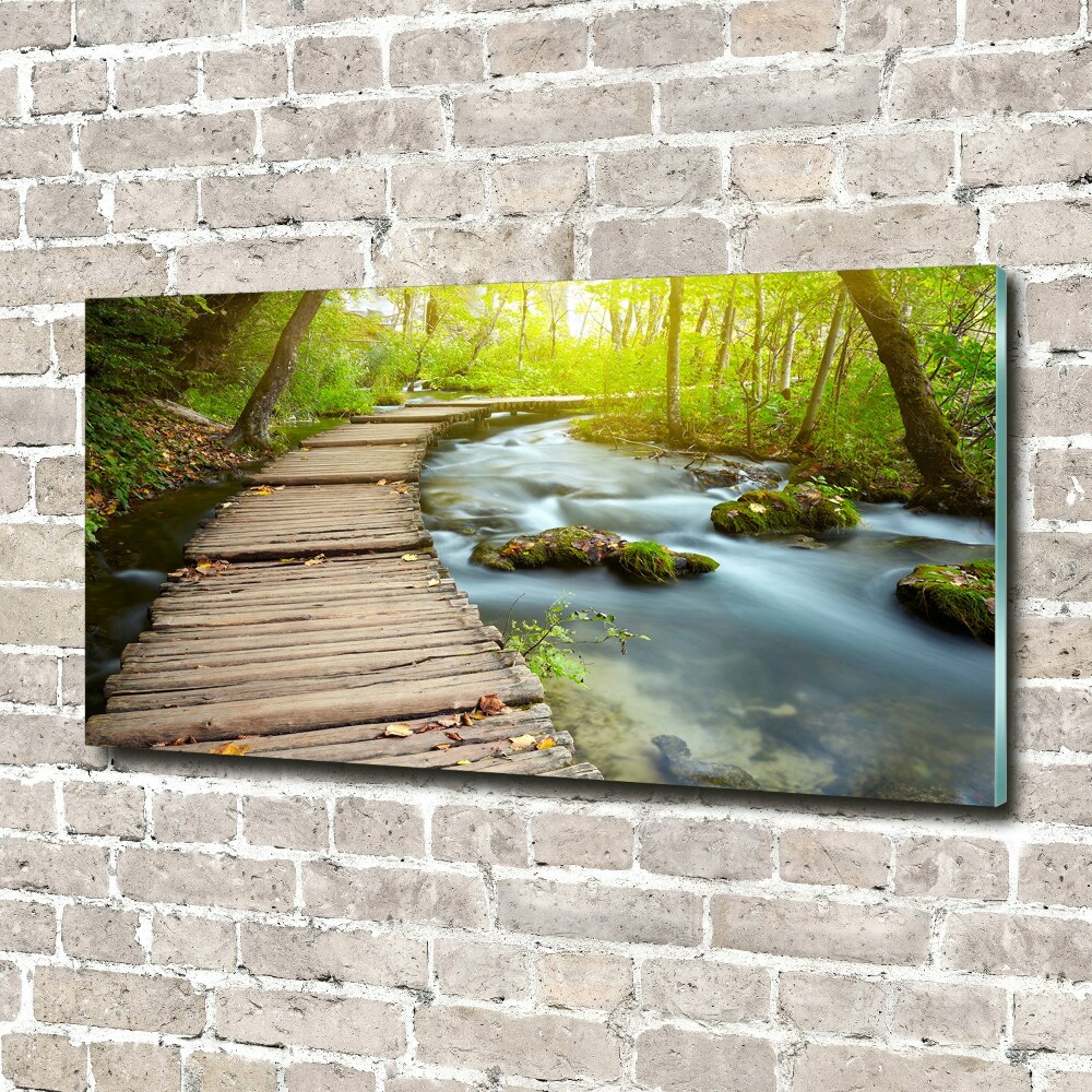 Foto obraz szkło akryl Ścieżka nad rzeką