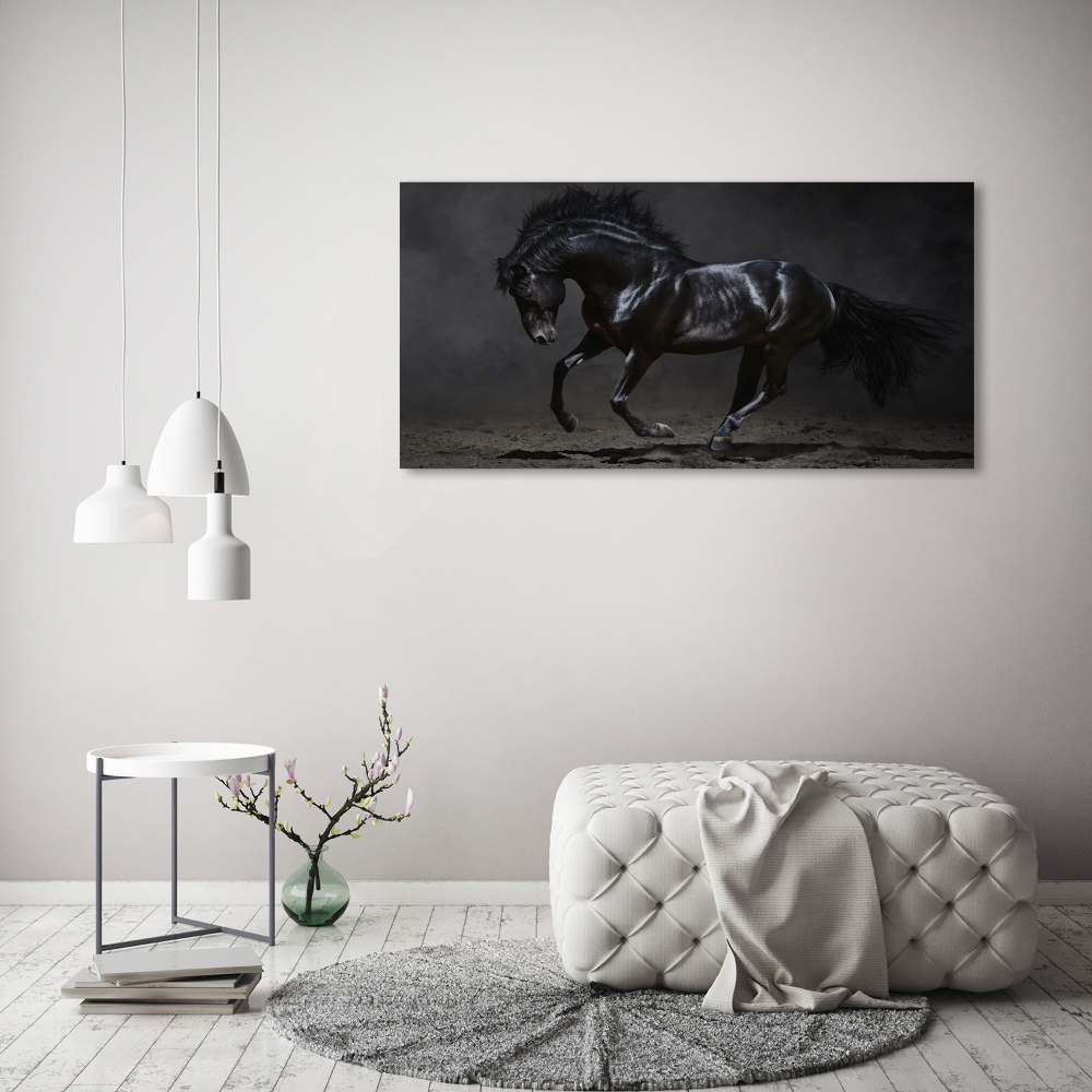 Foto obraz na ścianę akryl Czarny koń