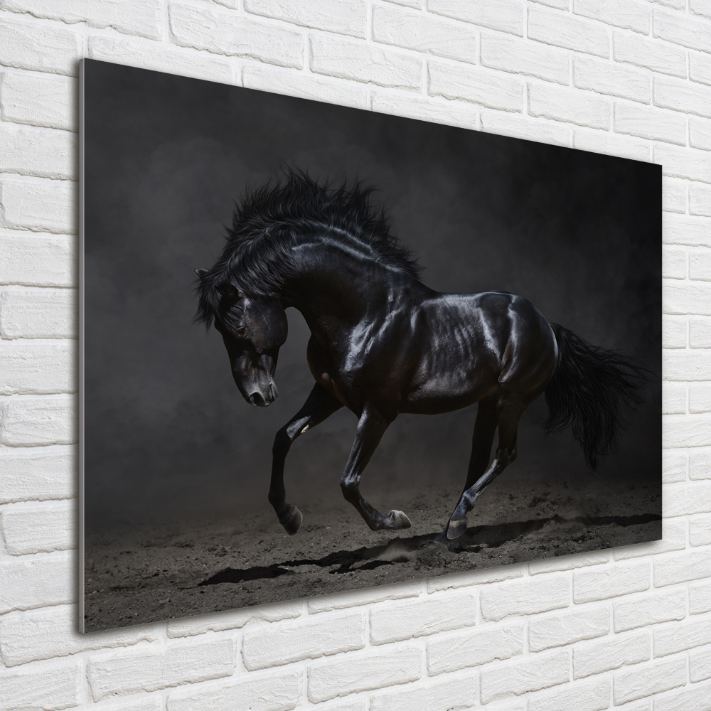 Foto obraz na ścianę akryl Czarny koń