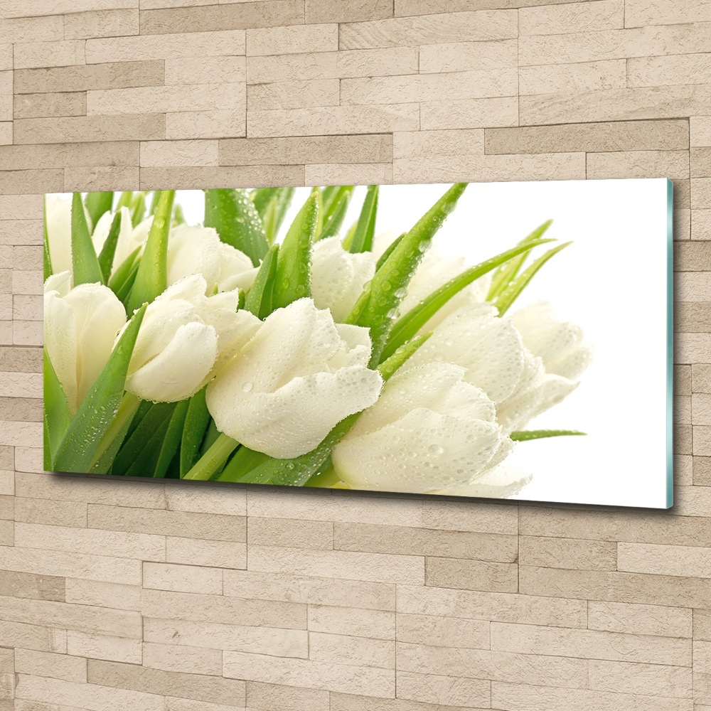Obraz zdjęcie szkło akryl Białe tulipany
