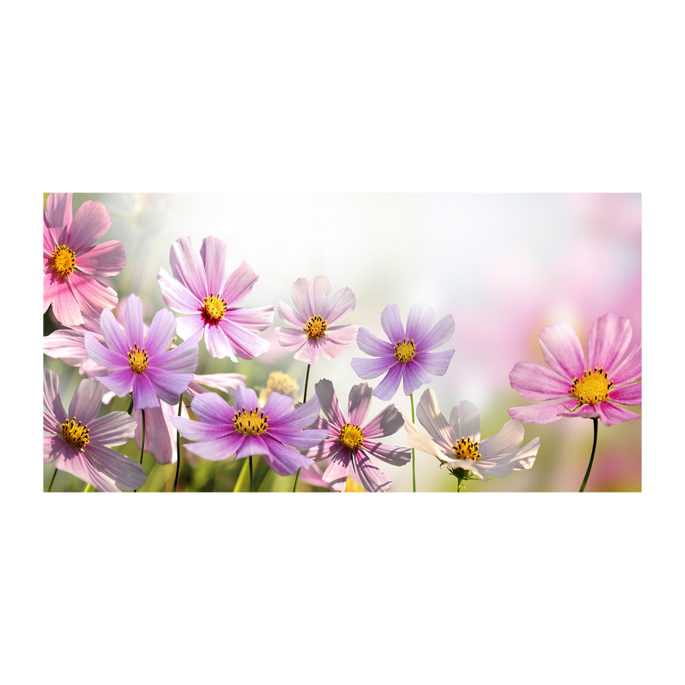 Obraz zdjęcie szkło akryl Kwiaty na łące