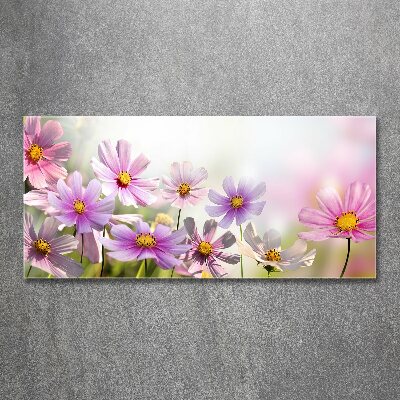 Obraz zdjęcie szkło akryl Kwiaty na łące