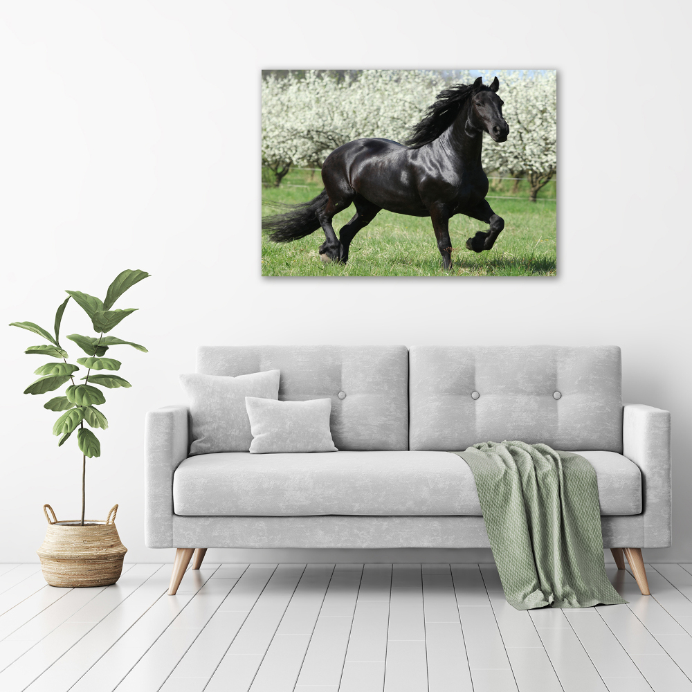 Foto obraz szkło akryl Czarny koń kwiaty