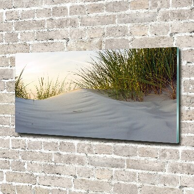 Obraz zdjęcie szkło akryl Nadmorskie wydmy