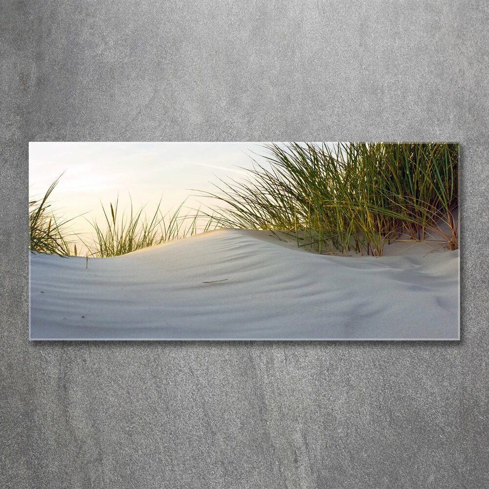 Obraz zdjęcie szkło akryl Nadmorskie wydmy