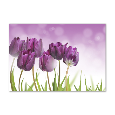 Foto obraz szkło akryl Filetowe tulipany