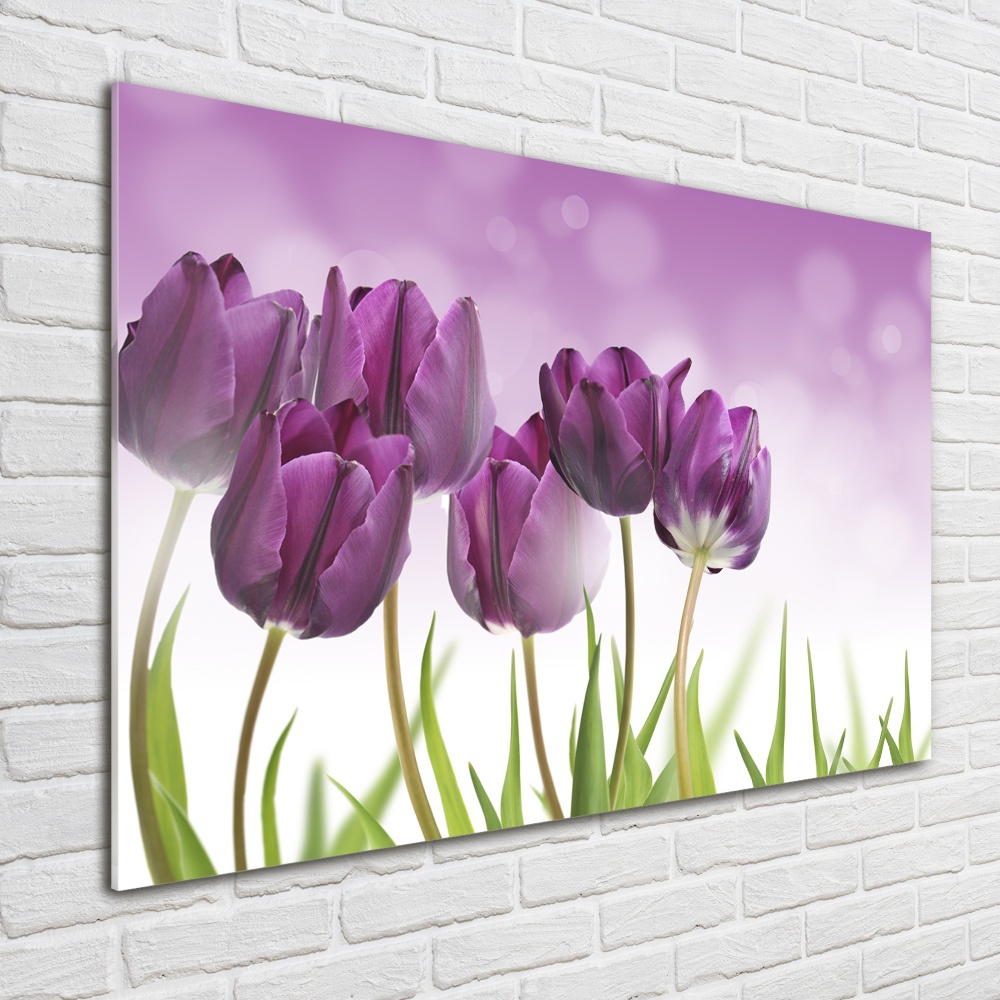 Foto obraz szkło akryl Filetowe tulipany