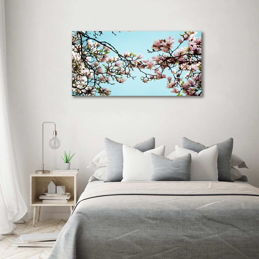 Obraz zdjęcie szkło akryl Kwiaty magnolii